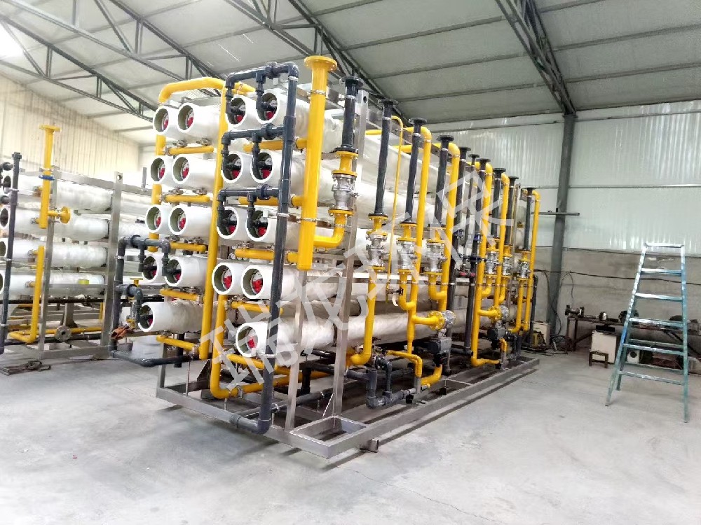 瑞龍環(huán)保工業(yè)純水案例—定制反滲透機(jī)組